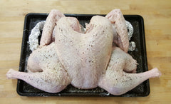 raw spatchcocked turkey front view